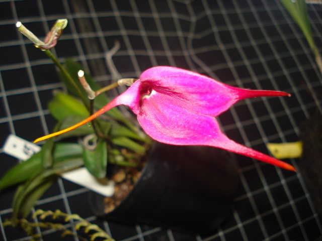 DSC08203.jpg