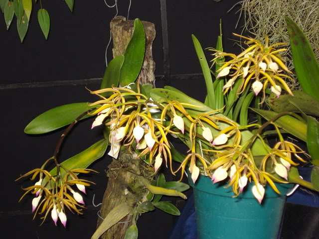 DSC08205.jpg
