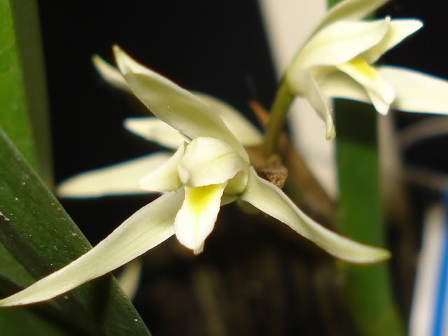 DSC08207.jpg