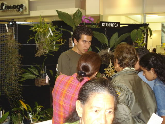 DSC08209.jpg