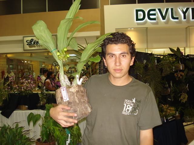 DSC08210.jpg