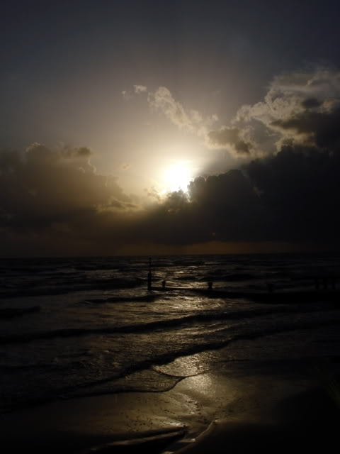 DSC08224.jpg