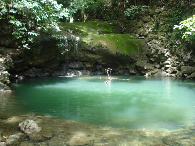 DSC08225.jpg
