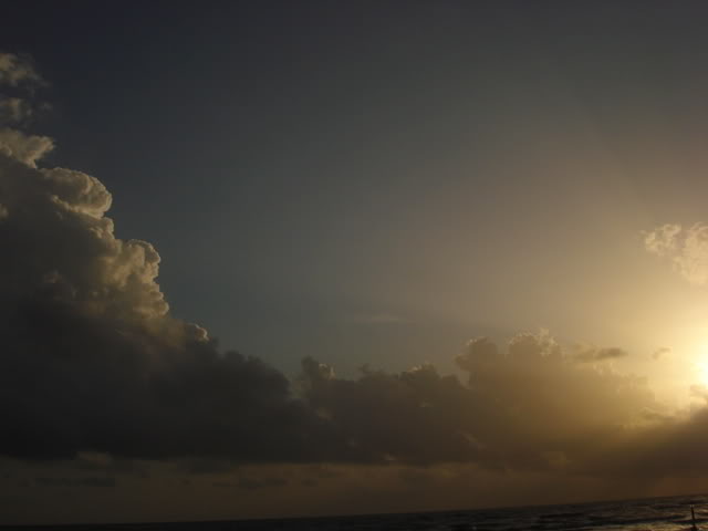 DSC08226.jpg