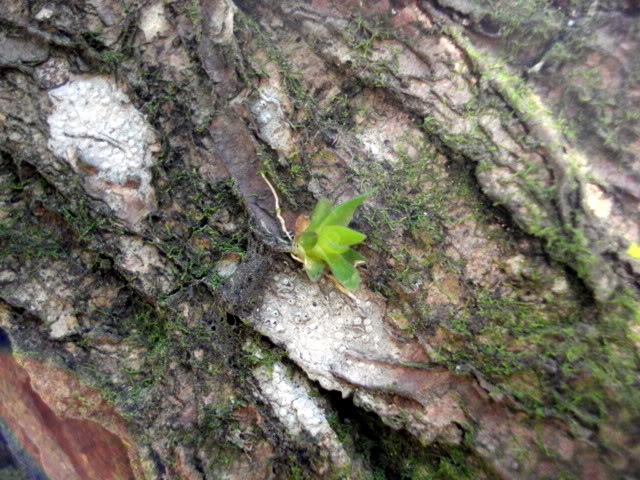 DSC08251.jpg