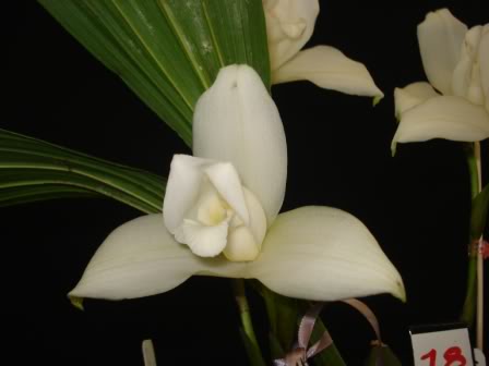 DSC08282.jpg