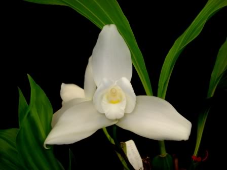 DSC08284.jpg