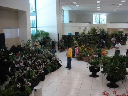 DSC08290.jpg