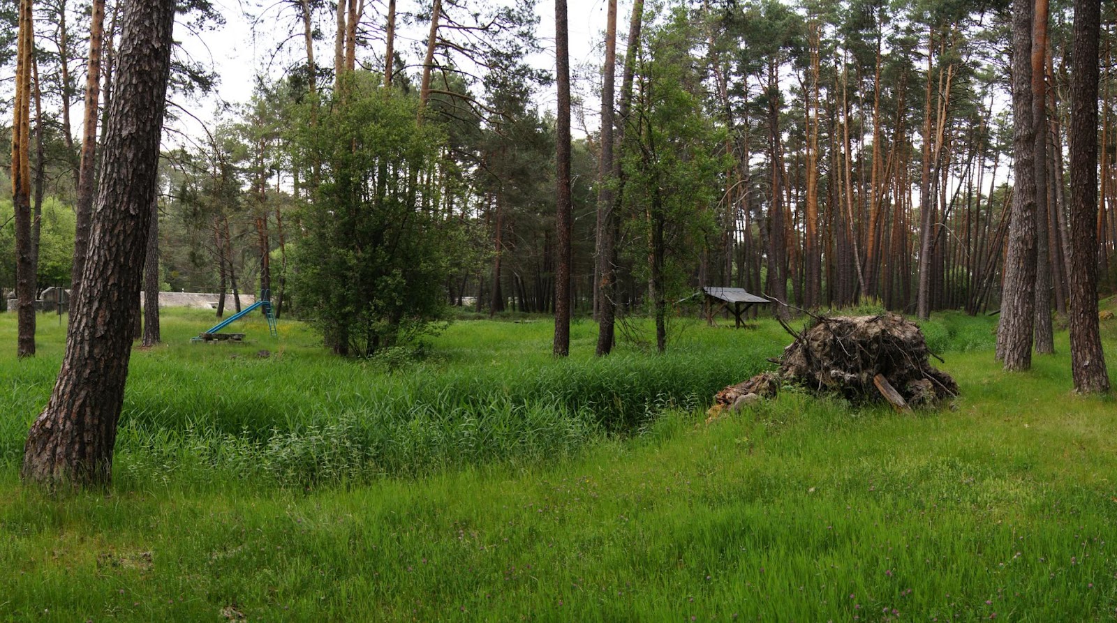 DSC08344_1936x1080.jpg