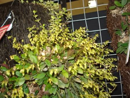 DSC08367.jpg