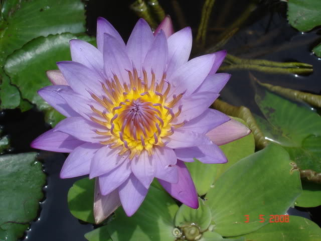 DSC08604.jpg