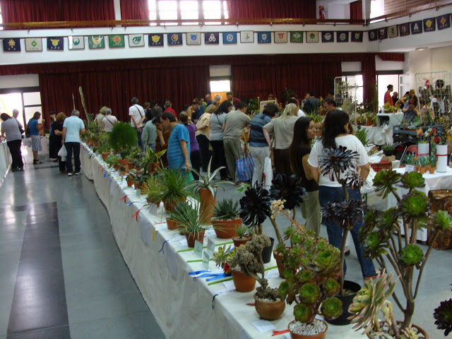 DSC08642.JPG