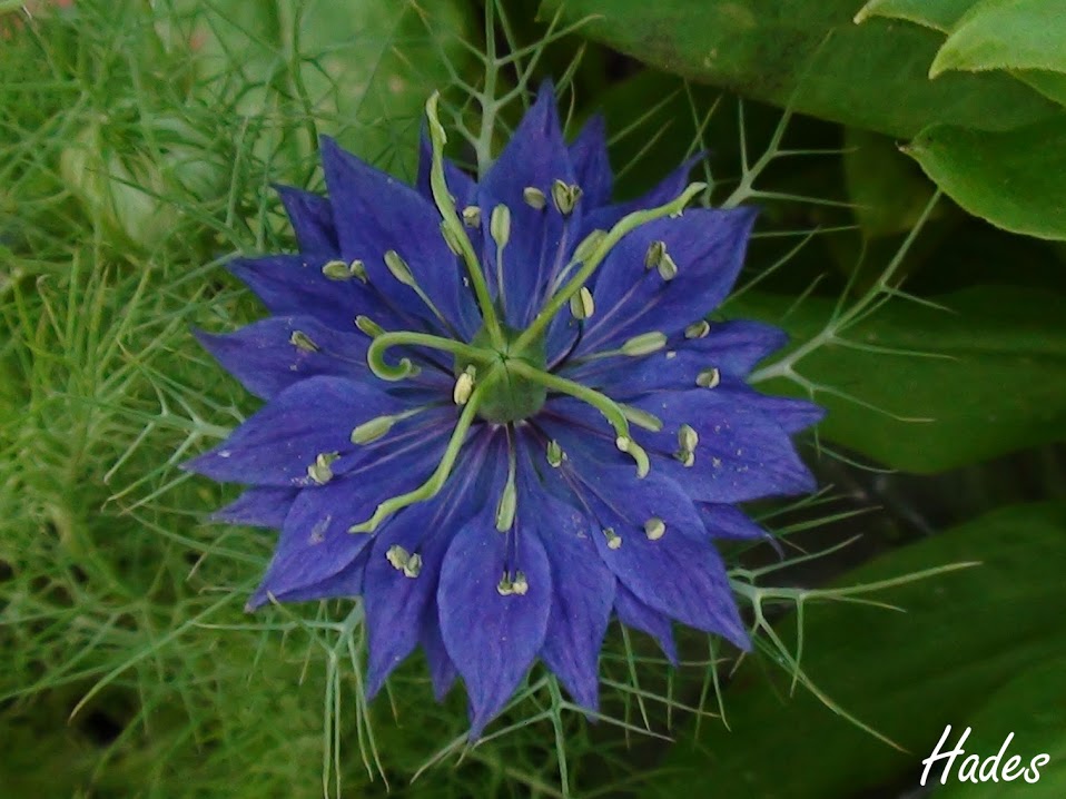 DSC08675.JPG