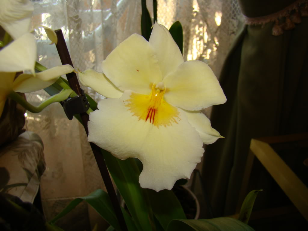 DSC08676.jpg