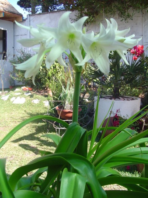 Dsc08717.jpg