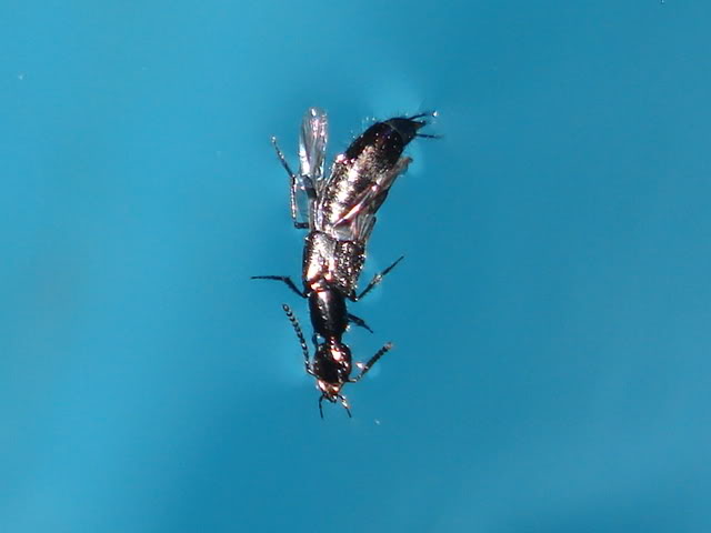 DSC08919.jpg