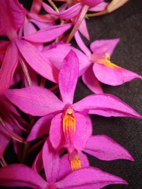 DSC08925.jpg