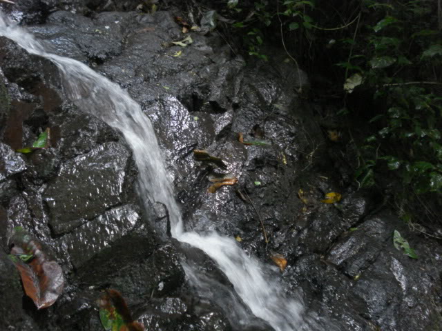 DSC08929.jpg