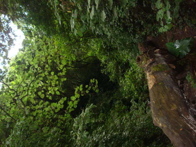 DSC08932.jpg