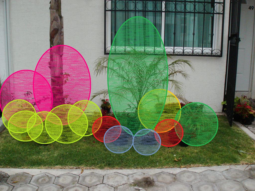DSC09075frentepalmera.png