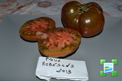 dsc090813.jpg