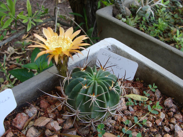 DSC09224.JPG