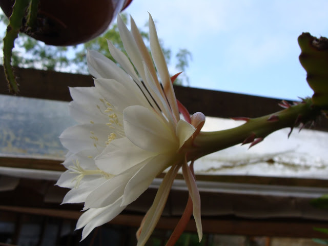 DSC09235.JPG