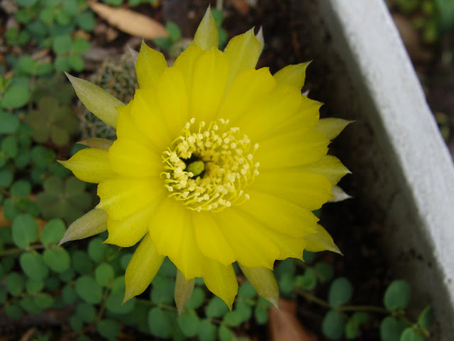 DSC09244.JPG