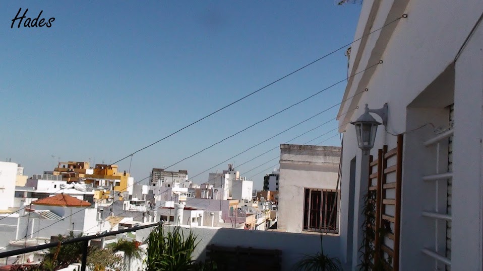 DSC09286.jpg