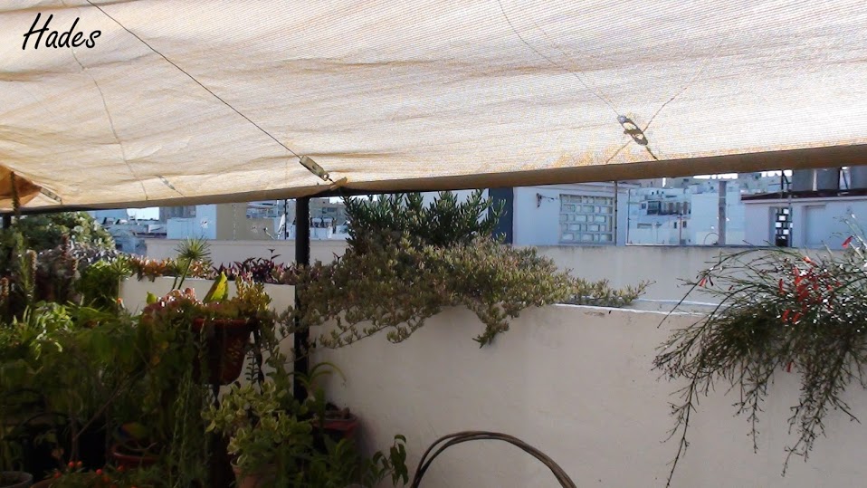 DSC09290.jpg