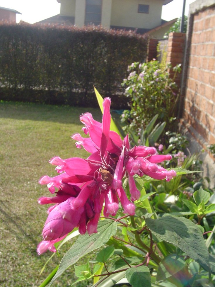 Dsc09400a.jpg