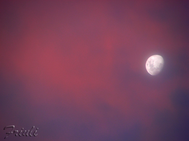 DSC094351_copiar.jpg