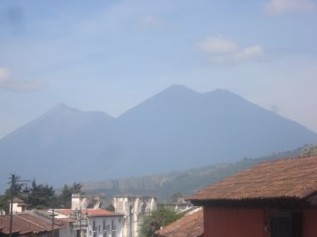 DSC09564.jpg