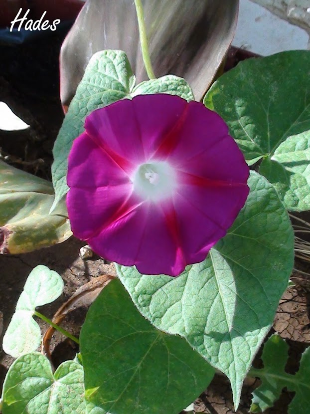 DSC09588.JPG