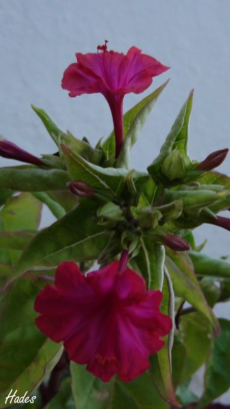 DSC09611.JPG