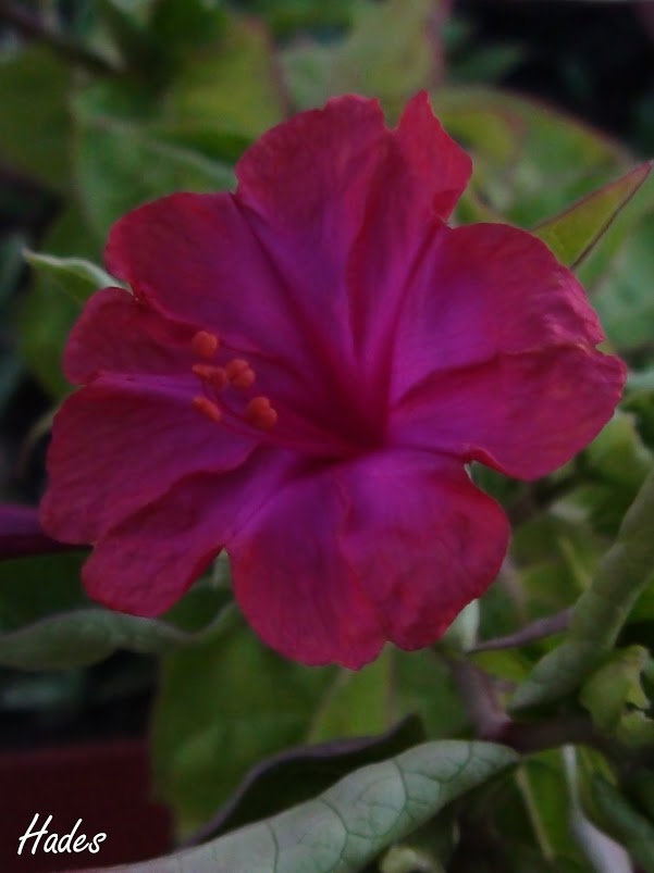 DSC09613.JPG