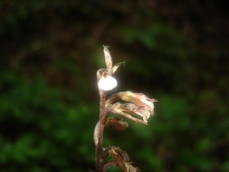 DSC09622.jpg