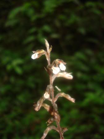 DSC09623.jpg