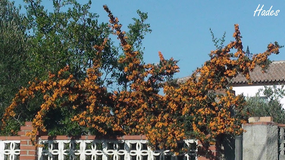 DSC09623.JPG