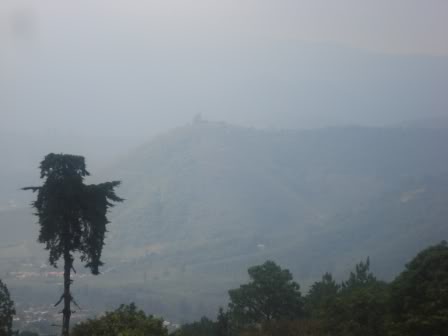 DSC09656.jpg