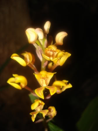 DSC09699.jpg