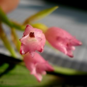 DSC09750.jpg