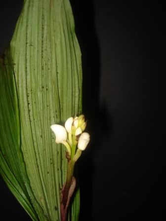 DSC09864.jpg