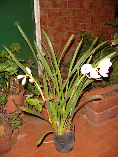 DSC09912.JPG