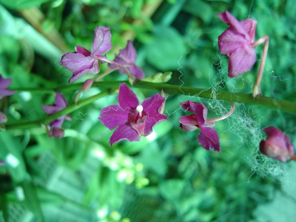 DSC09948.jpg