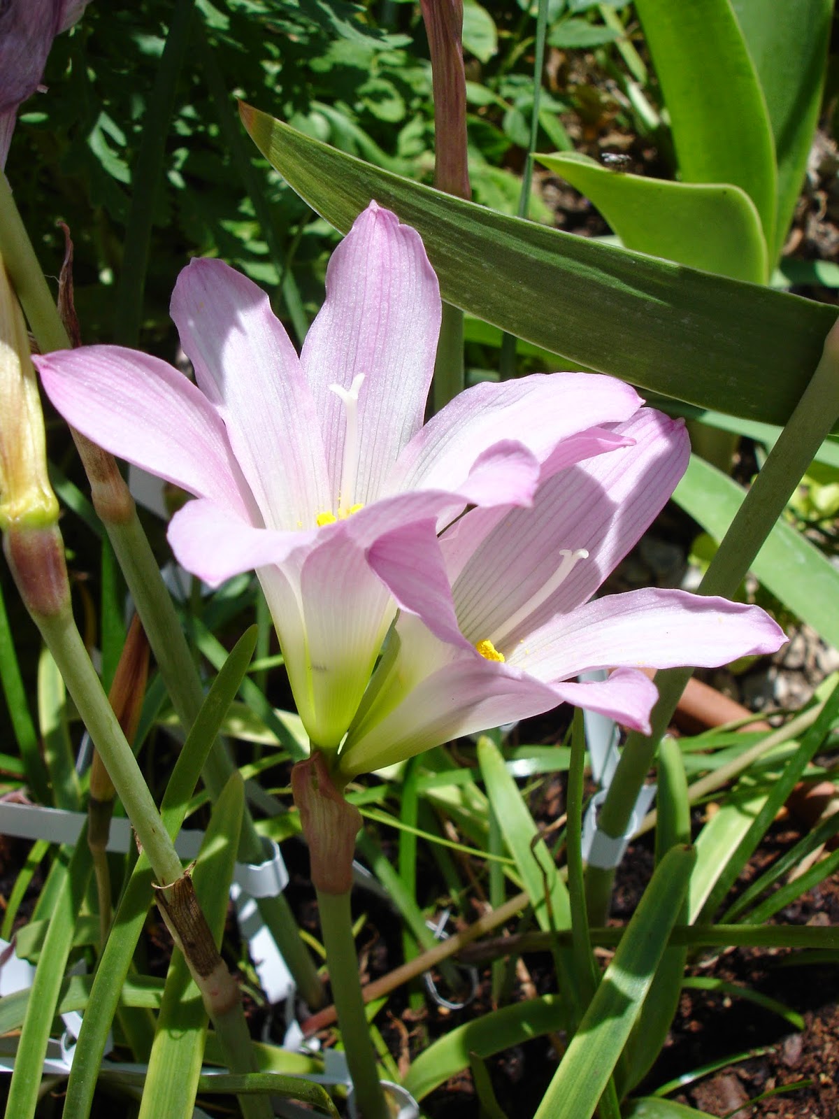 DSC09954.JPG