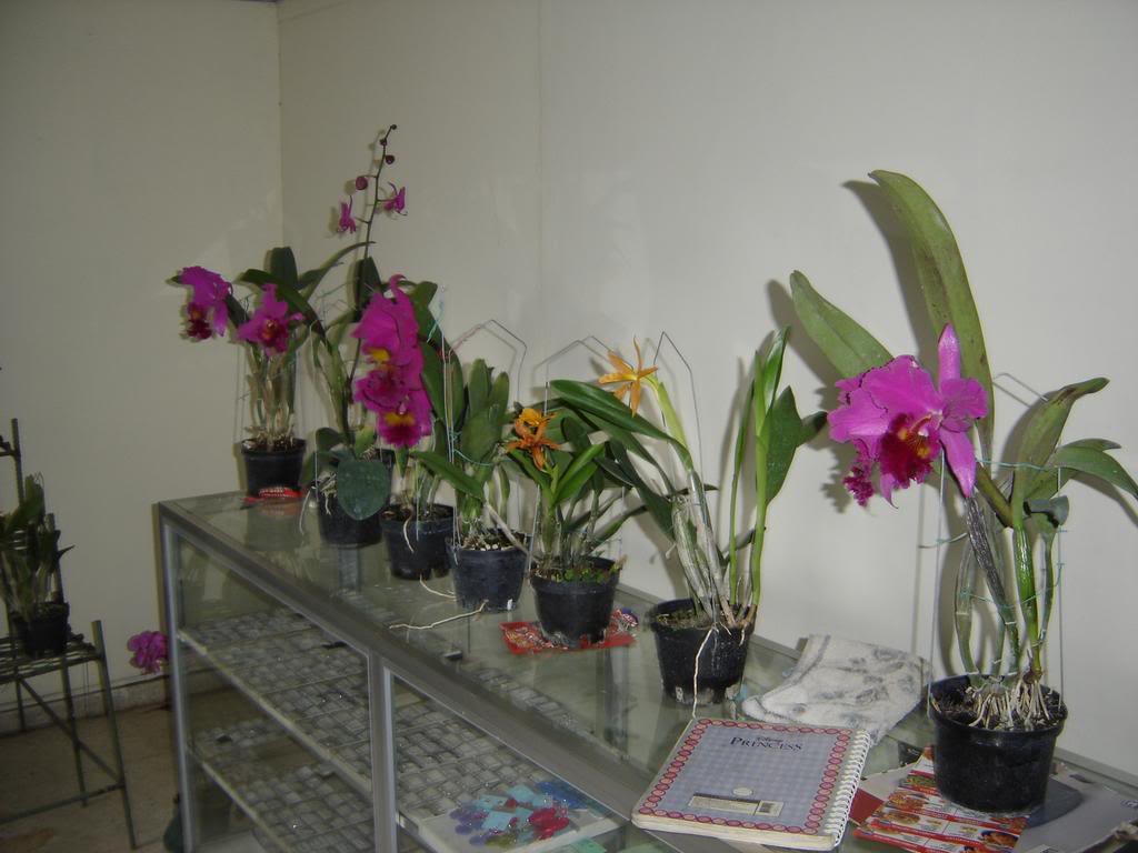 DSC09960.jpg