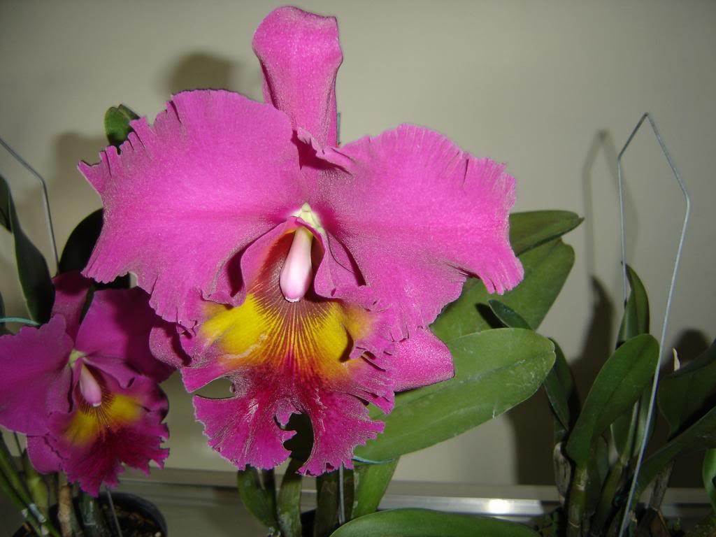 DSC09962.jpg