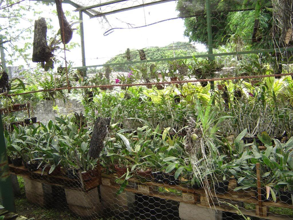 DSC09970.jpg