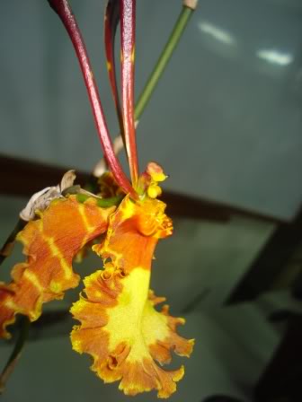 DSC09972.jpg